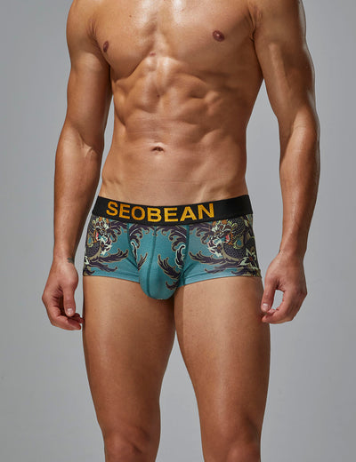 YEAR OF THE DRAGON Boxer Brief 240204