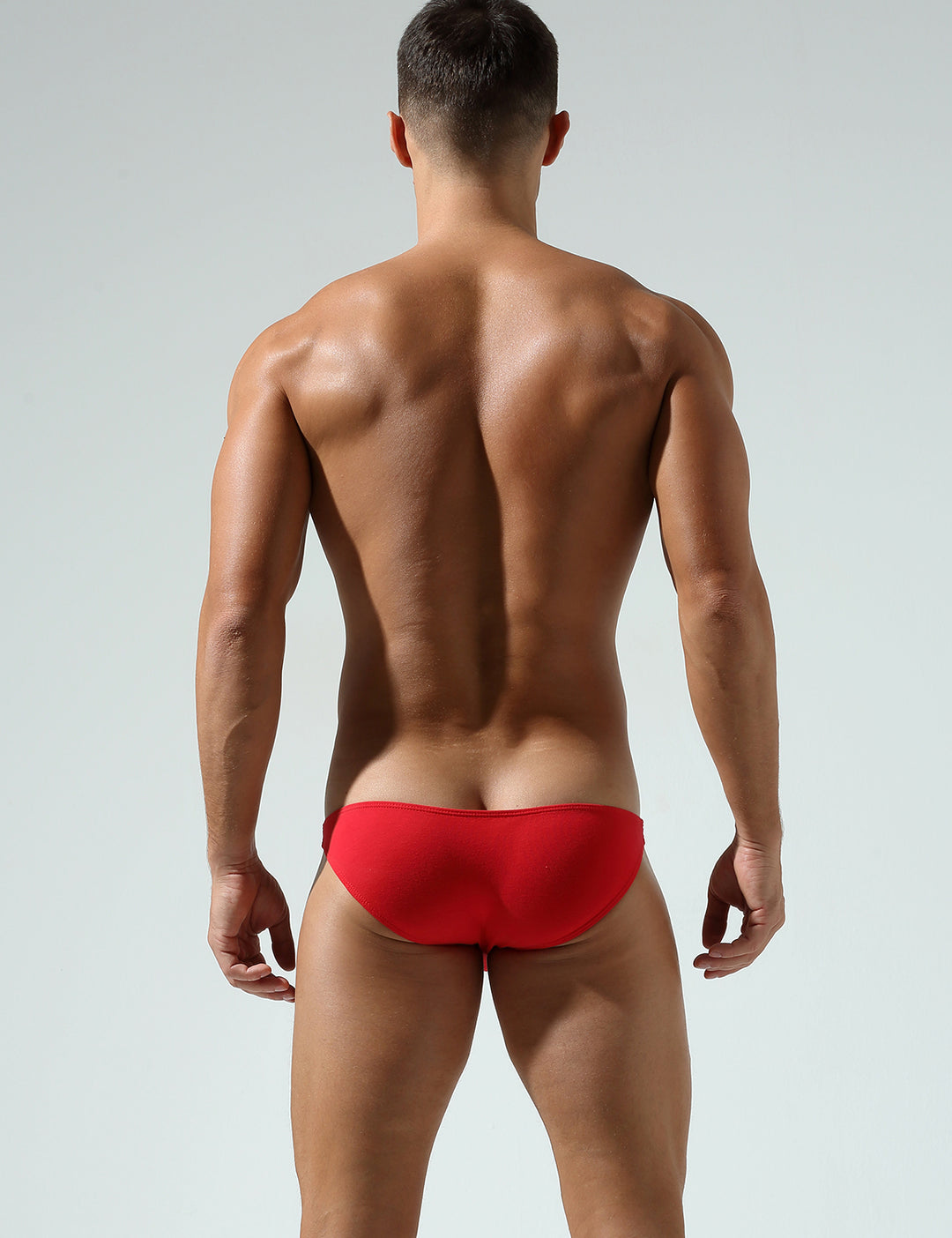 「龍」Year of the Dragon Brief 240101