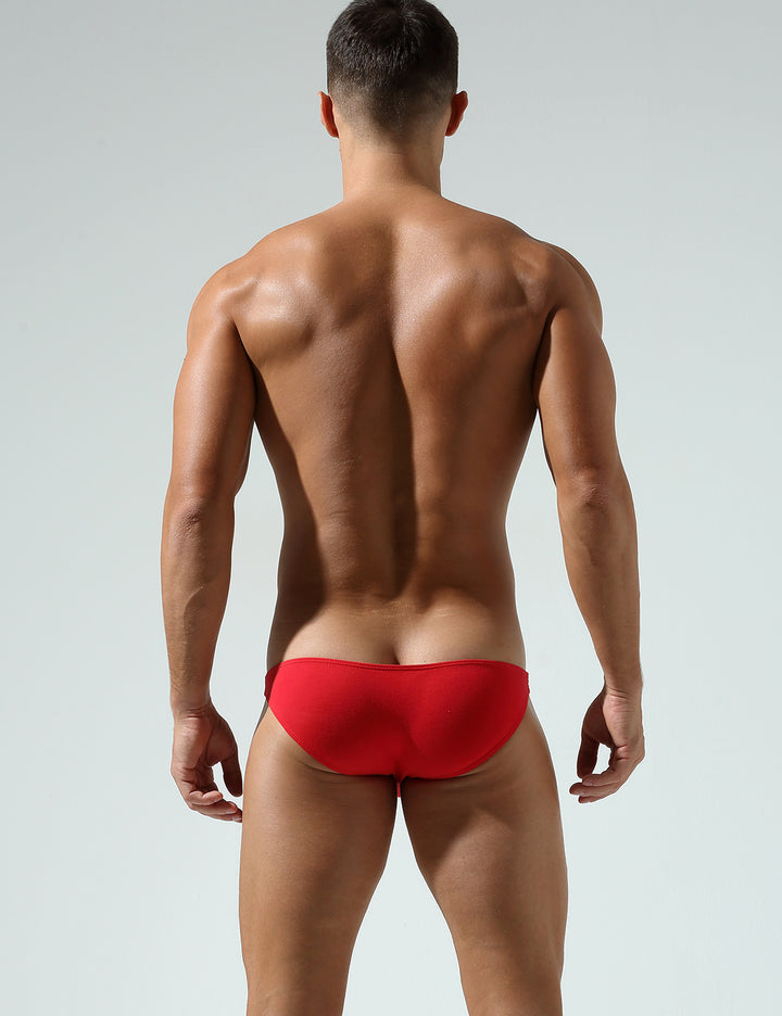 「龍」Year of the Dragon Brief 240101