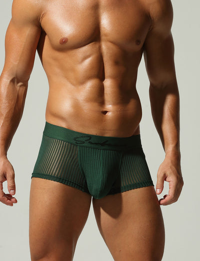 Mesh Low Rise Boxer Briefs 250218