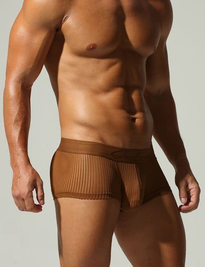 Mesh Low Rise Boxer Briefs 250218