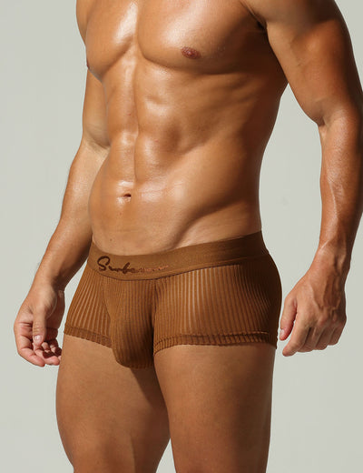 Mesh Low Rise Boxer Briefs 250218