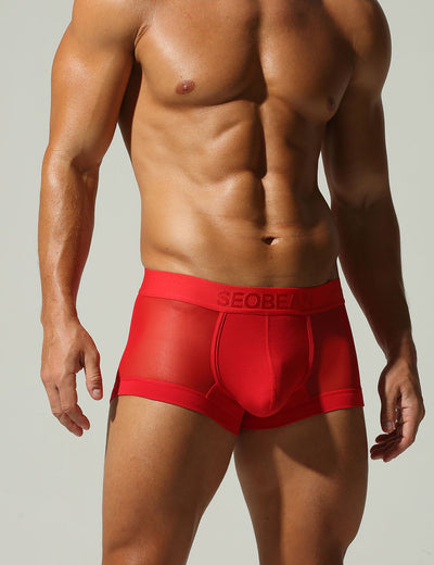 Mesh Boxer Briefs 250214