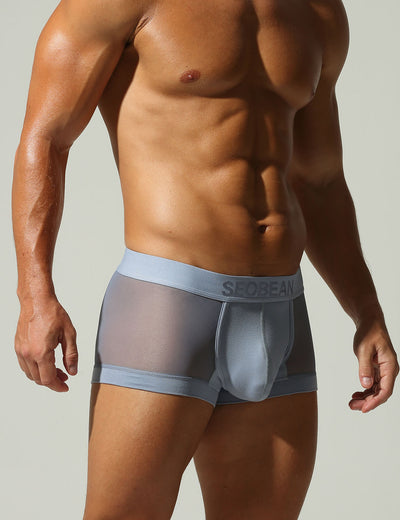 Mesh Boxer Briefs 250214
