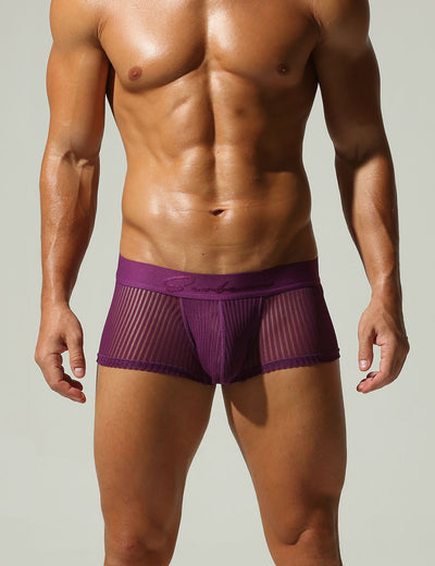 Mesh Low Rise Boxer Briefs 250218