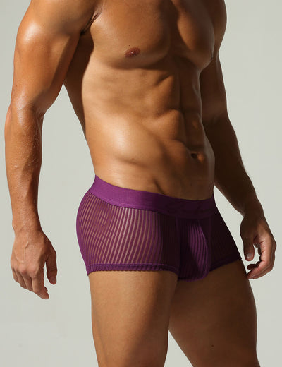 Mesh Low Rise Boxer Briefs 250218