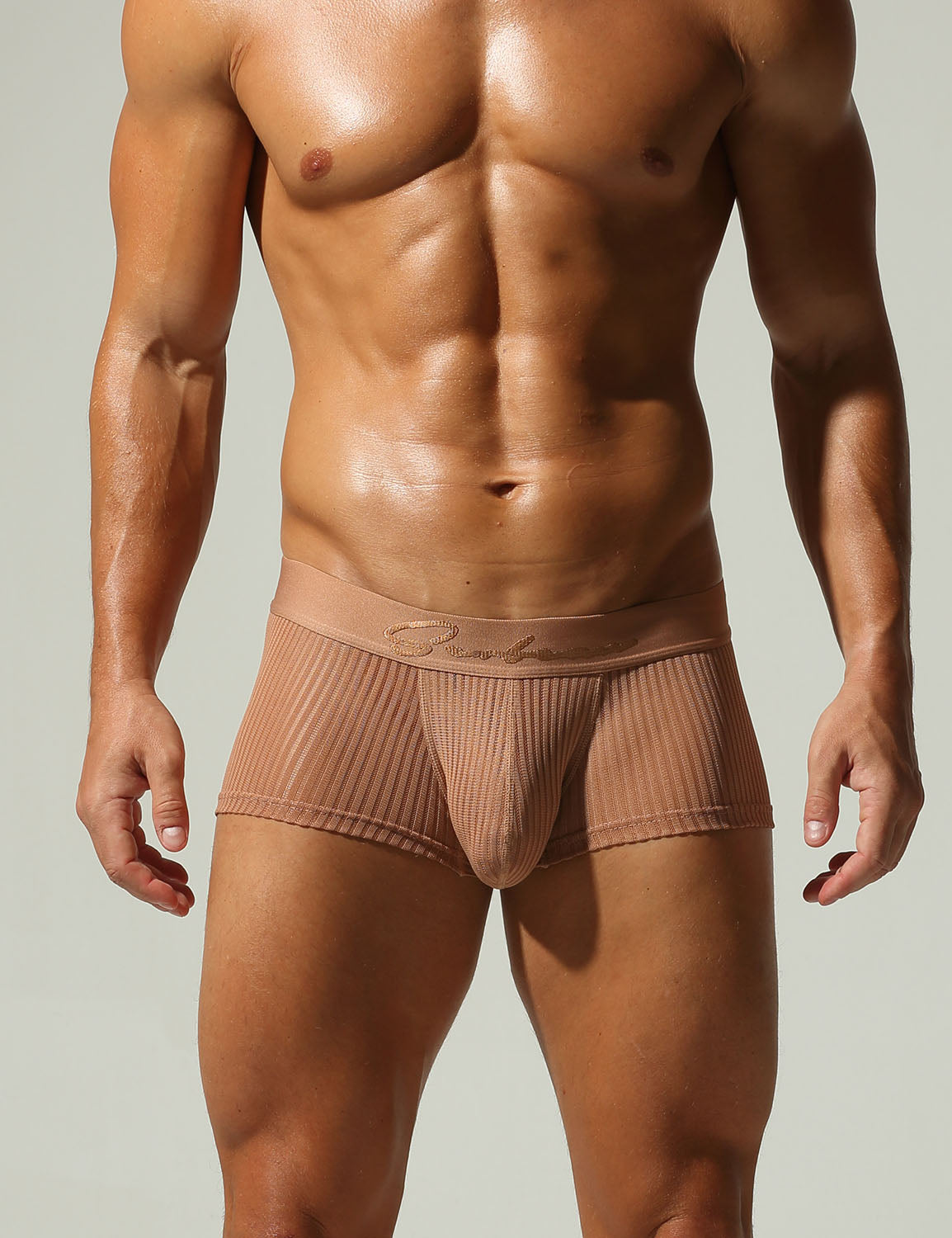 Mesh Low Rise Boxer Briefs 250218