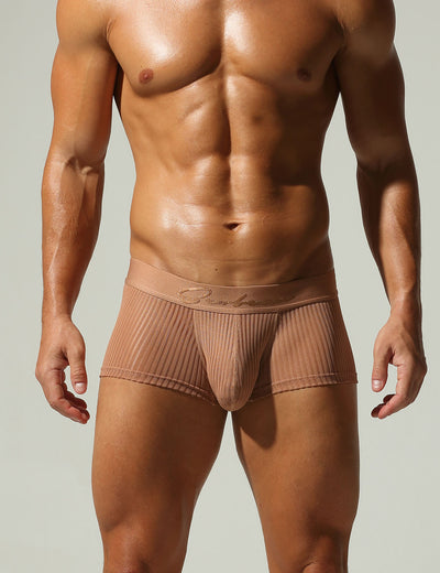 Mesh Low Rise Boxer Briefs 250218