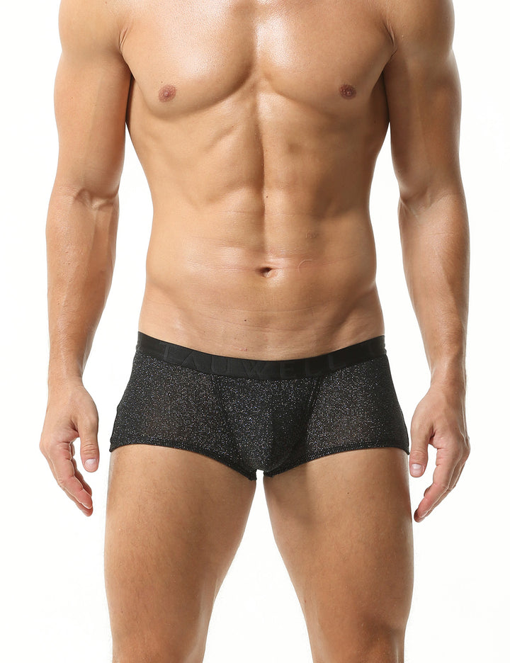 Low Rise Shiny Boxer Brief 23203