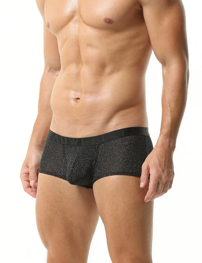 Low Rise Shiny Boxer Brief 23203