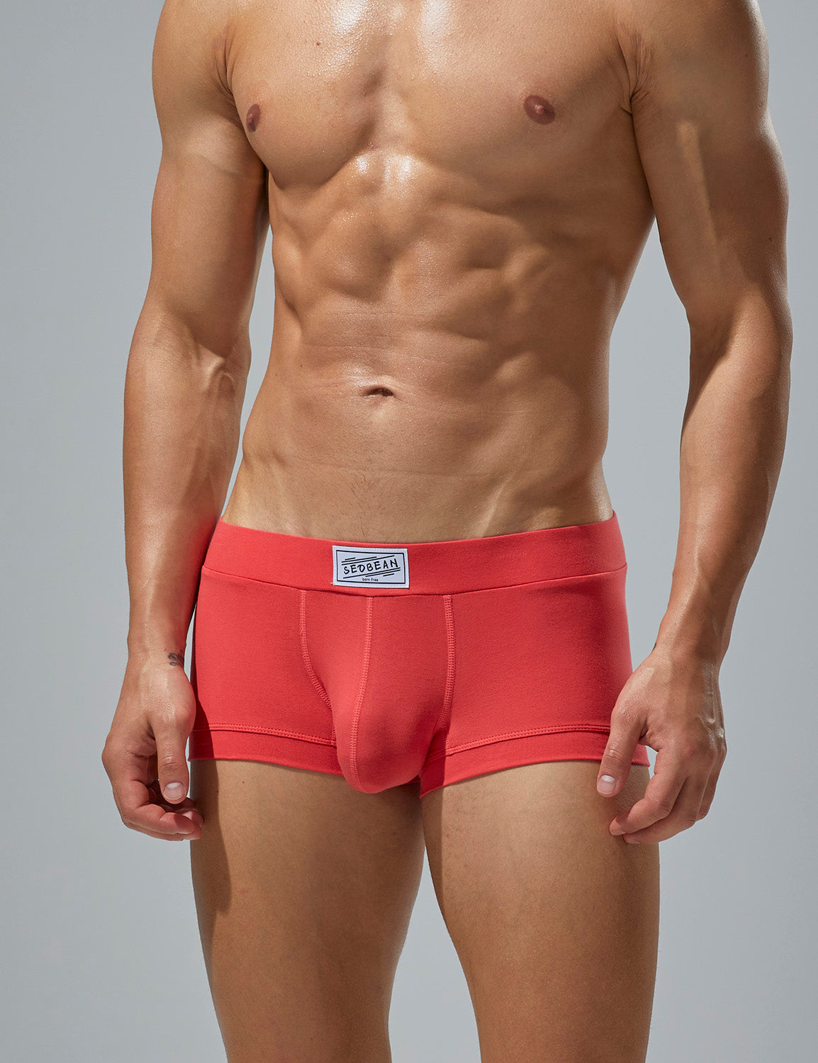 Solid Boxer Brief 250201