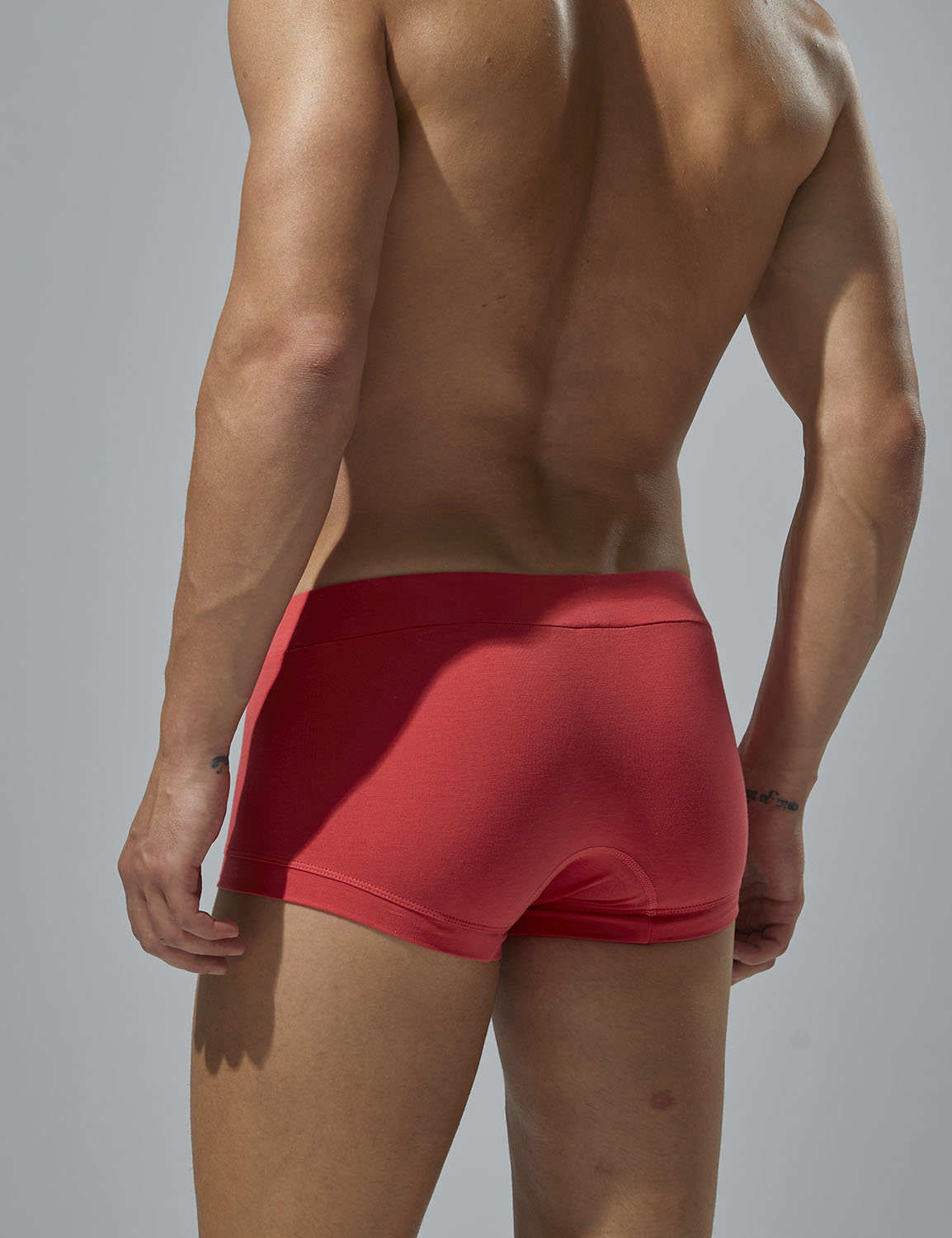 Solid Boxer Brief 250201