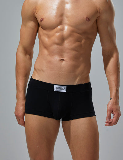 Solid Boxer Brief 250201