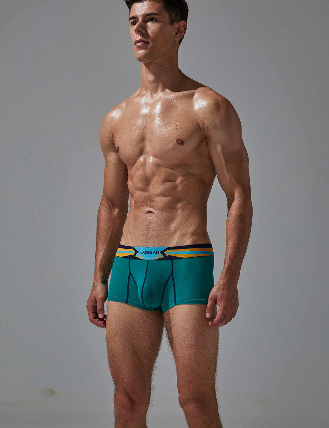 Sexy Nylon Boxer Brief 230215