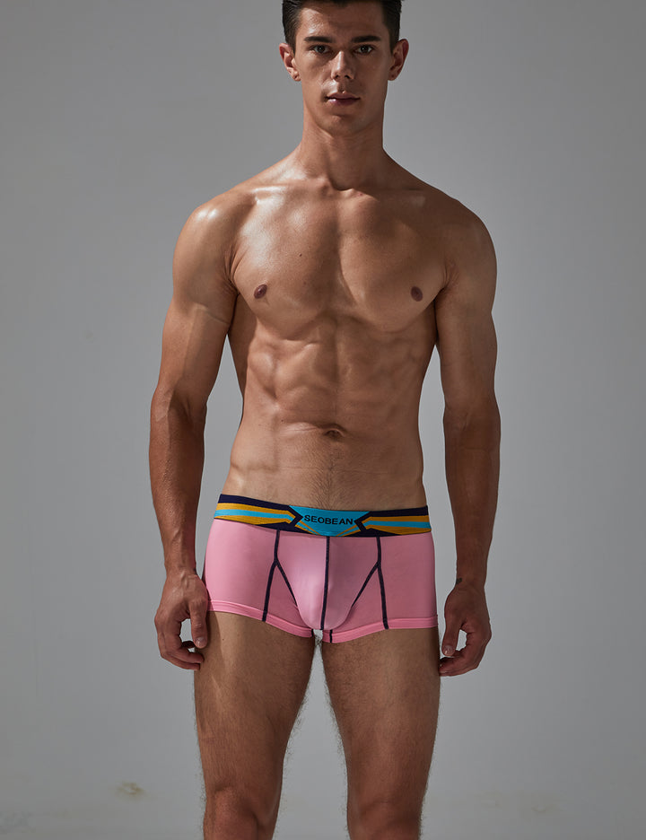 Sexy Nylon Boxer Brief 230215