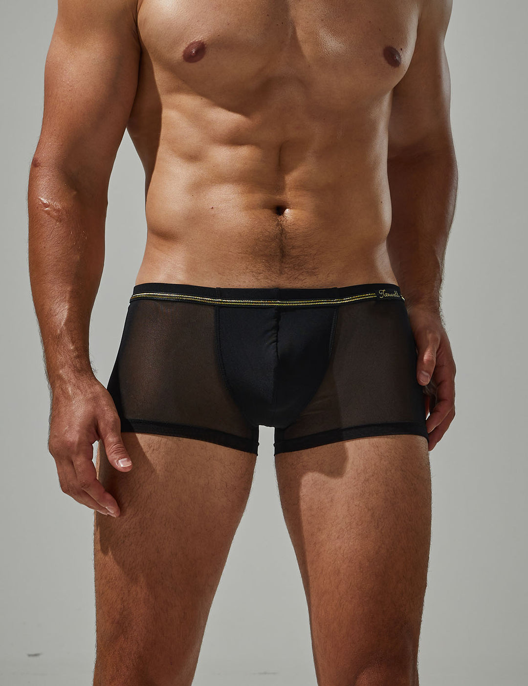 Mesh Boxer Brief 24201