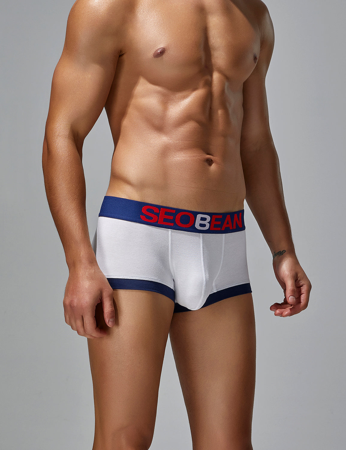 Solid Boxer Brief 250203