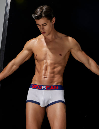 Solid Boxer Brief 250203