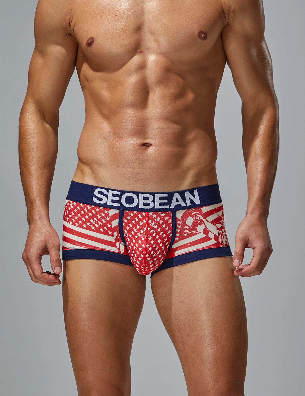 Statue of Liberty Boxer Brief 250206