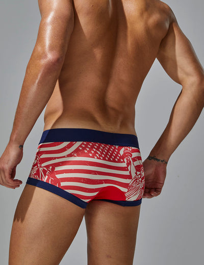 Statue of Liberty Boxer Brief 250206