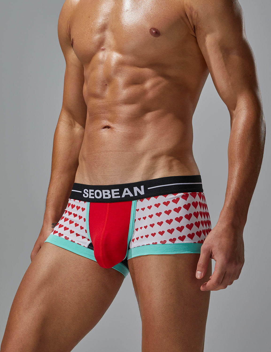 Love Boxer Brief 250205