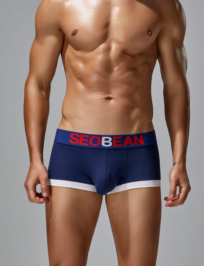 Solid Boxer Brief 250203