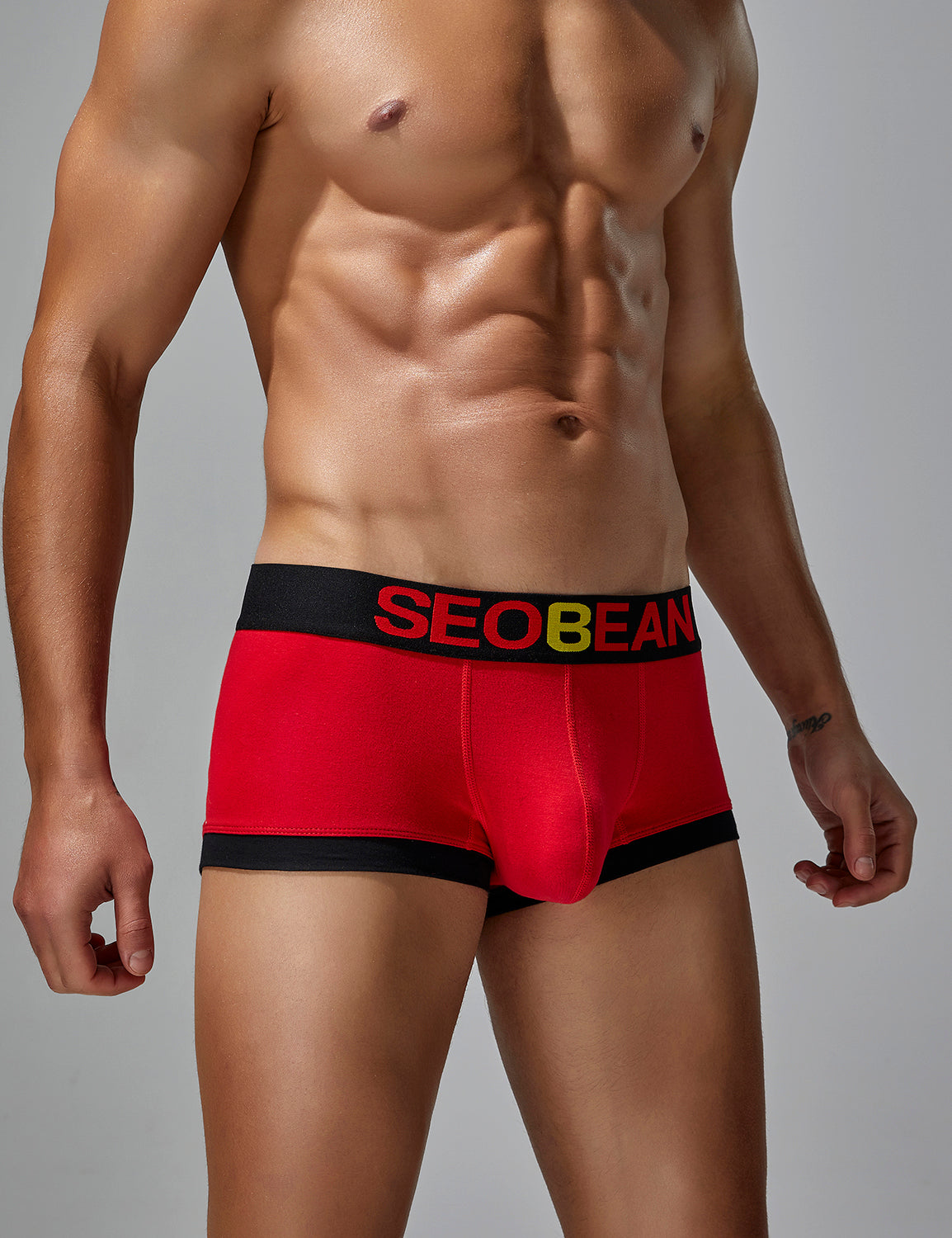 Solid Boxer Brief 250203