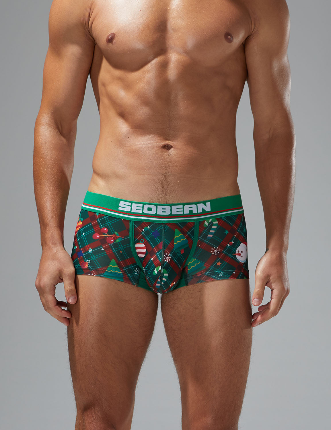 Christmas Boxer Brief 250207 Green