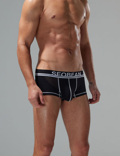 Mesh Boxer Briefs 250212