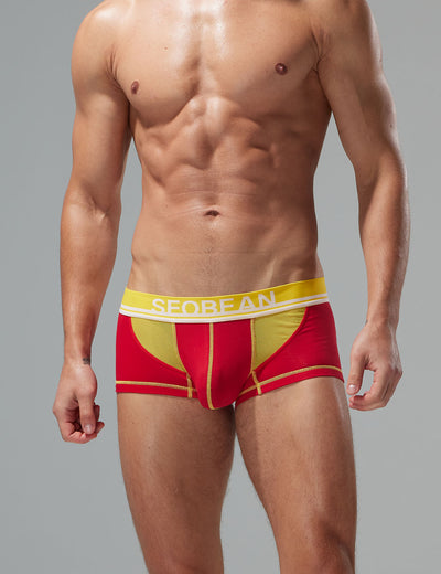 Mesh Boxer Briefs 250212