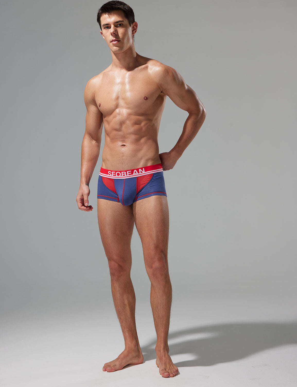 Mesh Boxer Briefs 250212