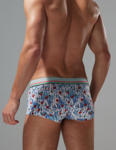 Whimsical Cherry Boxer Brief 250211 Blue