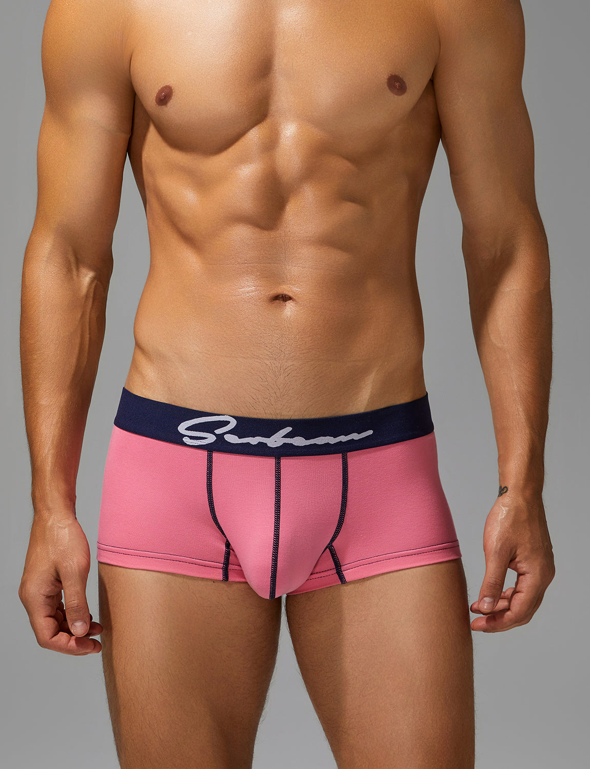 Solid Color Boxer Brief 250217