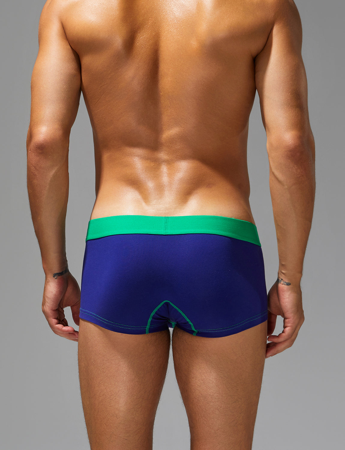 Solid Color Boxer Brief 250217