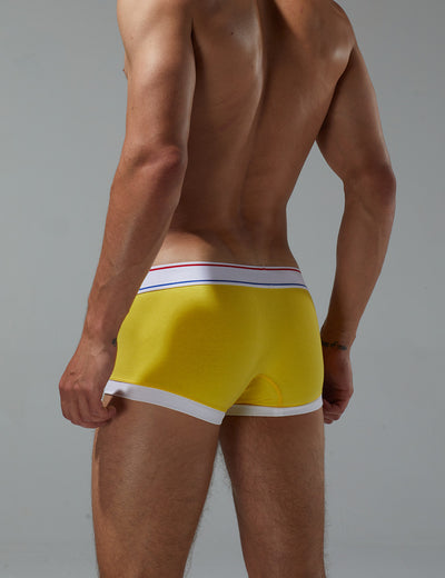 Candy Colored Boxer Brief 230209