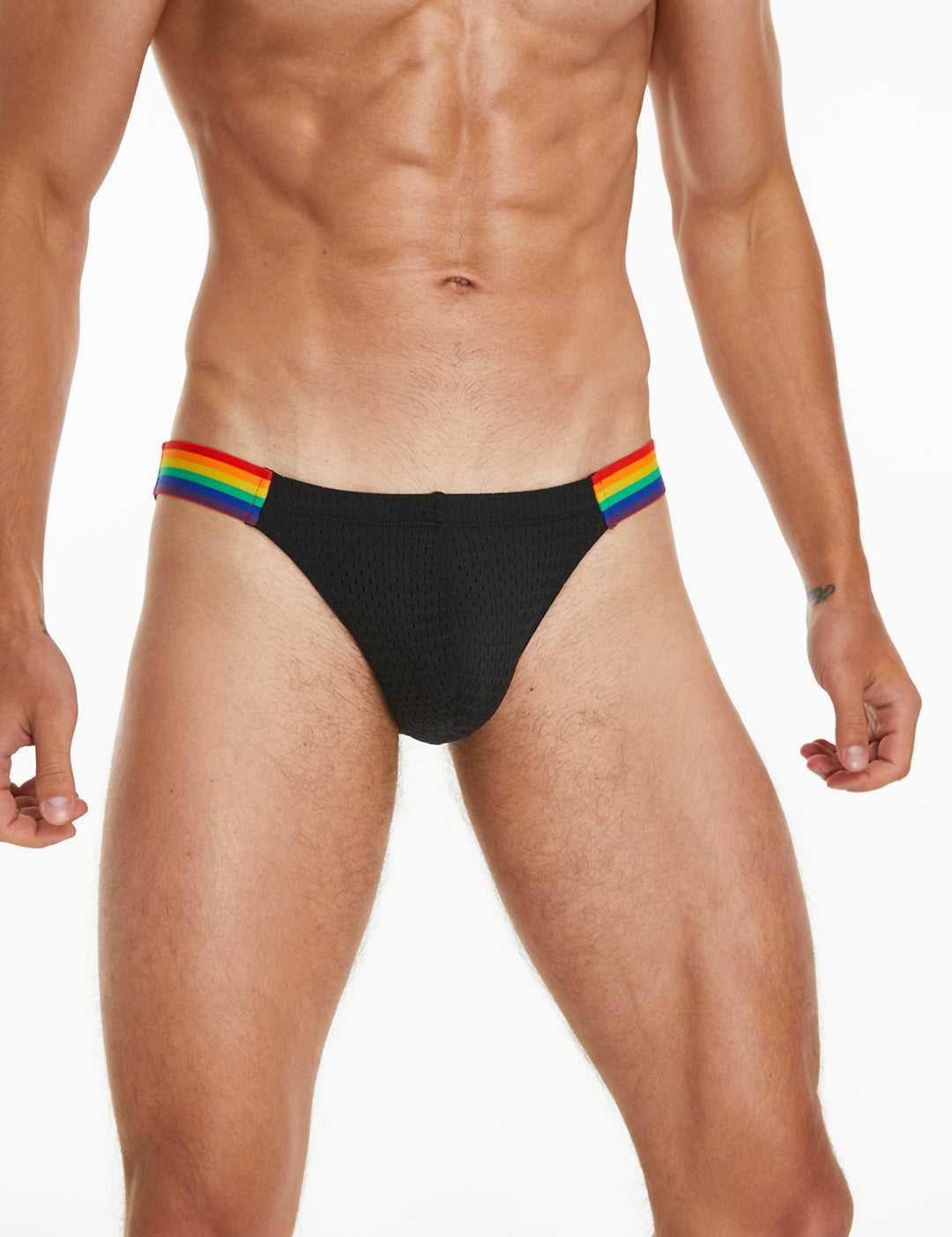 Rainbow Mesh Brief 240103