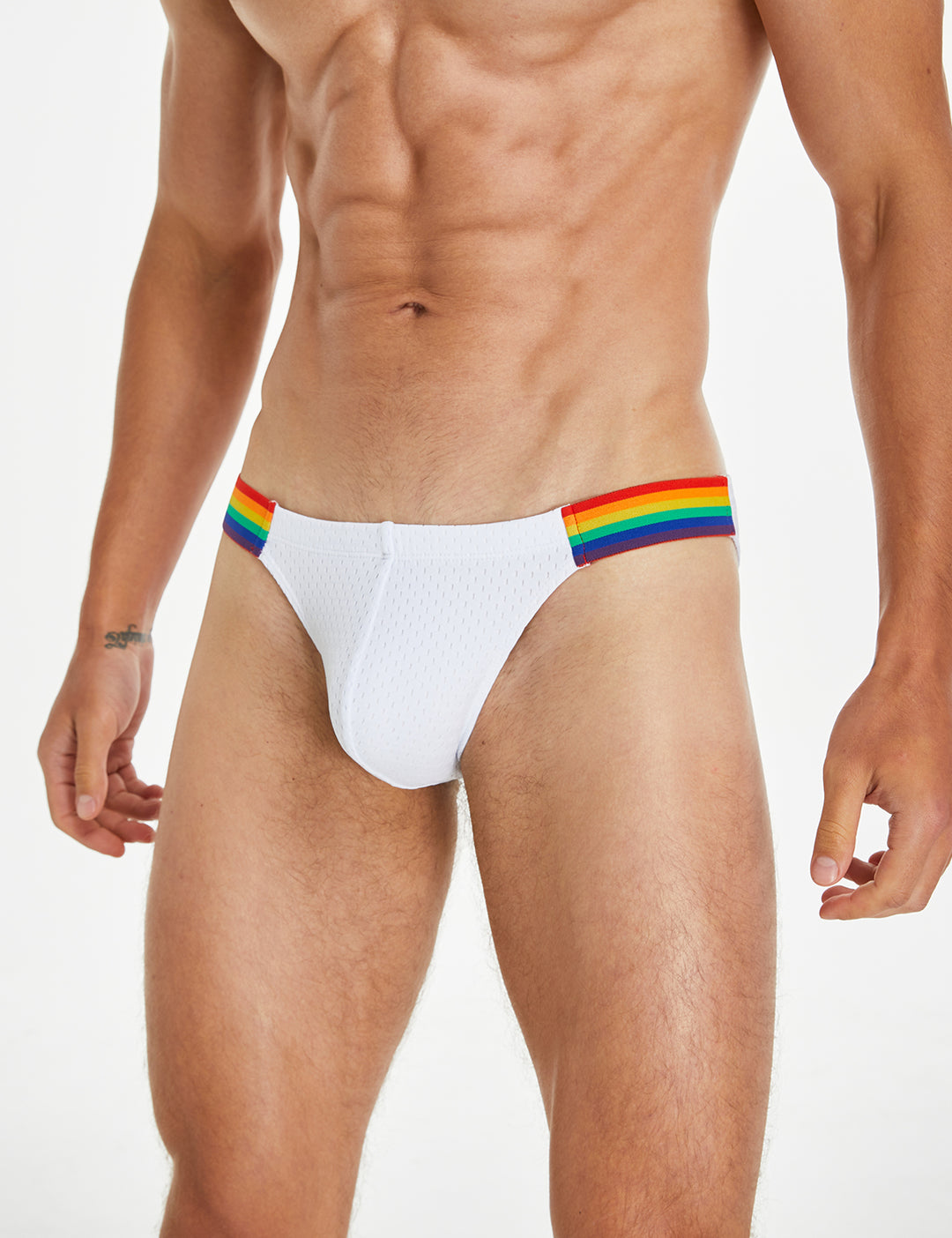 Rainbow Mesh Brief 240103