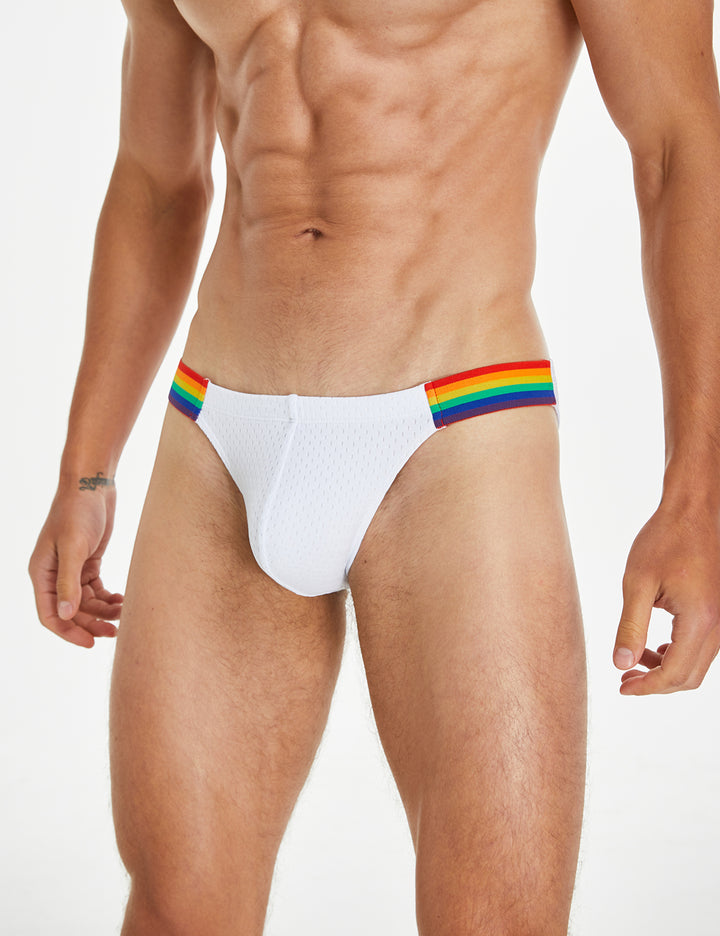 Rainbow Mesh Brief 240103