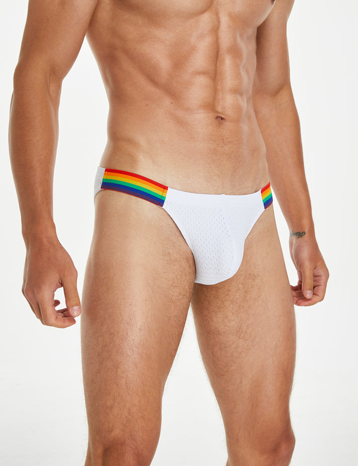 Rainbow Mesh Brief 240103