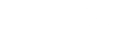 SEOBEAN®