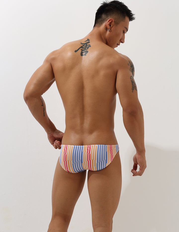 Sexy Low Rise Brief Bikini 00105