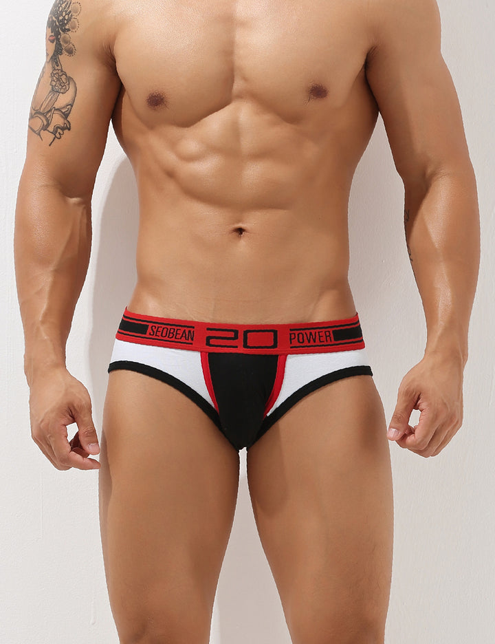 Low Rise Sexy Briefs 10101