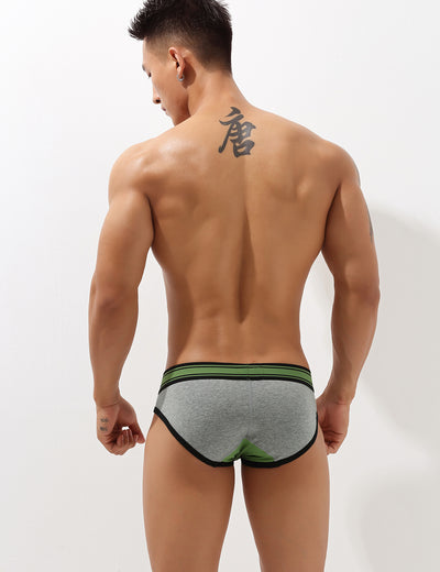 Low Rise Sexy Briefs 10101