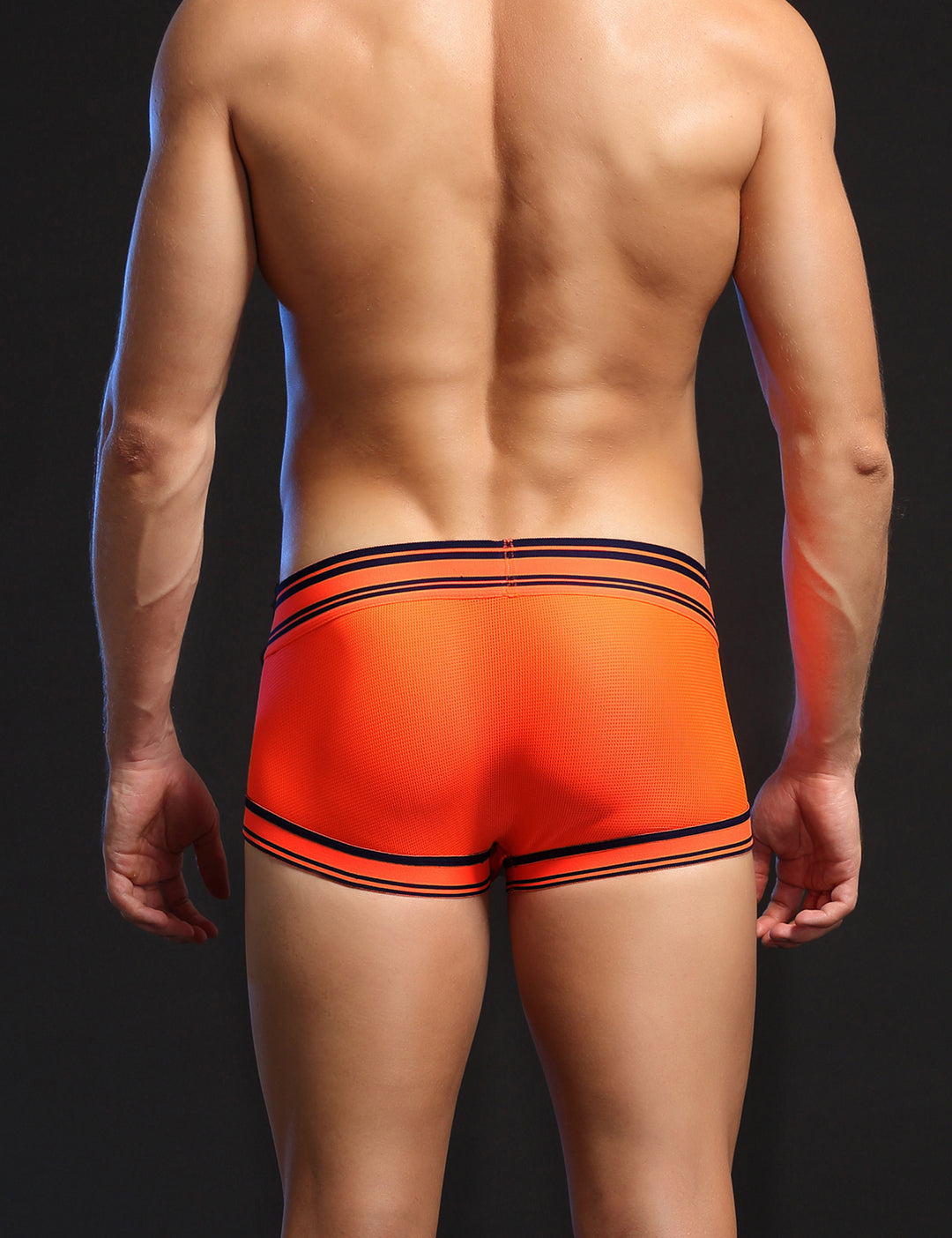 Mesh Boxer Briefs 1201