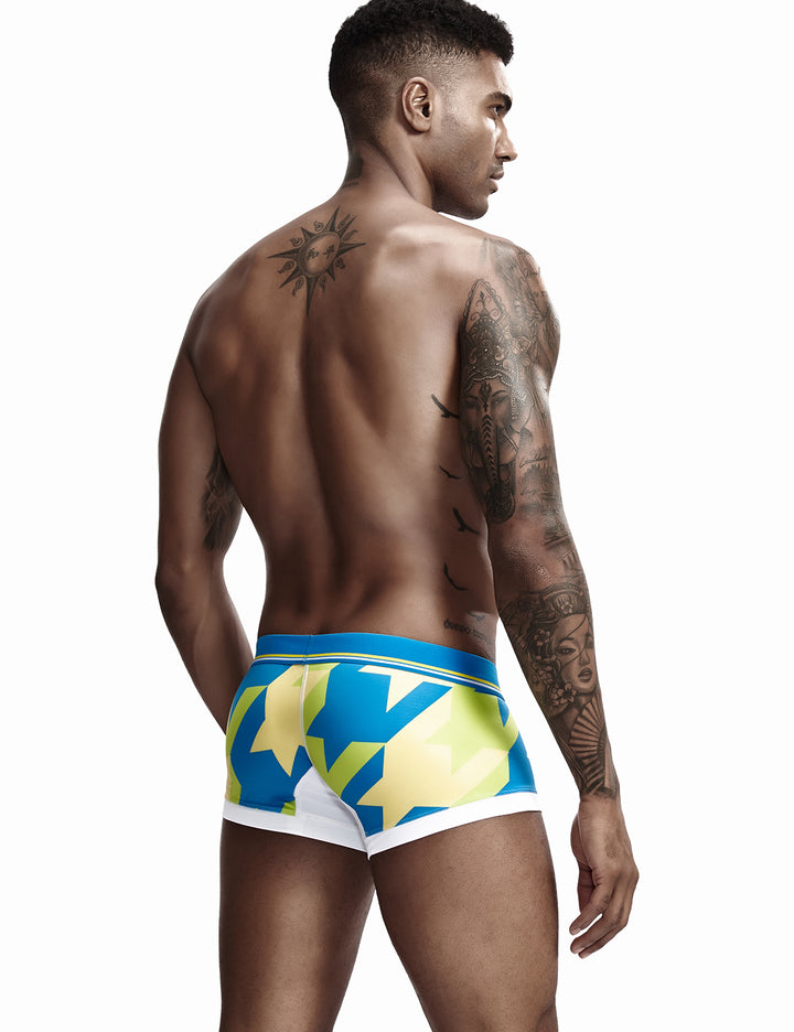 Low Rise Sexy Visual Arts Boxer Brief 90225