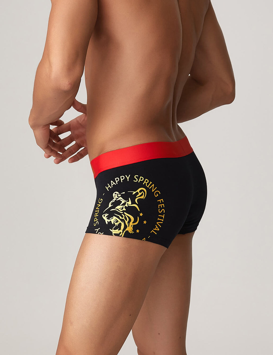 Year of the Tiger Boxer Briefs 10214