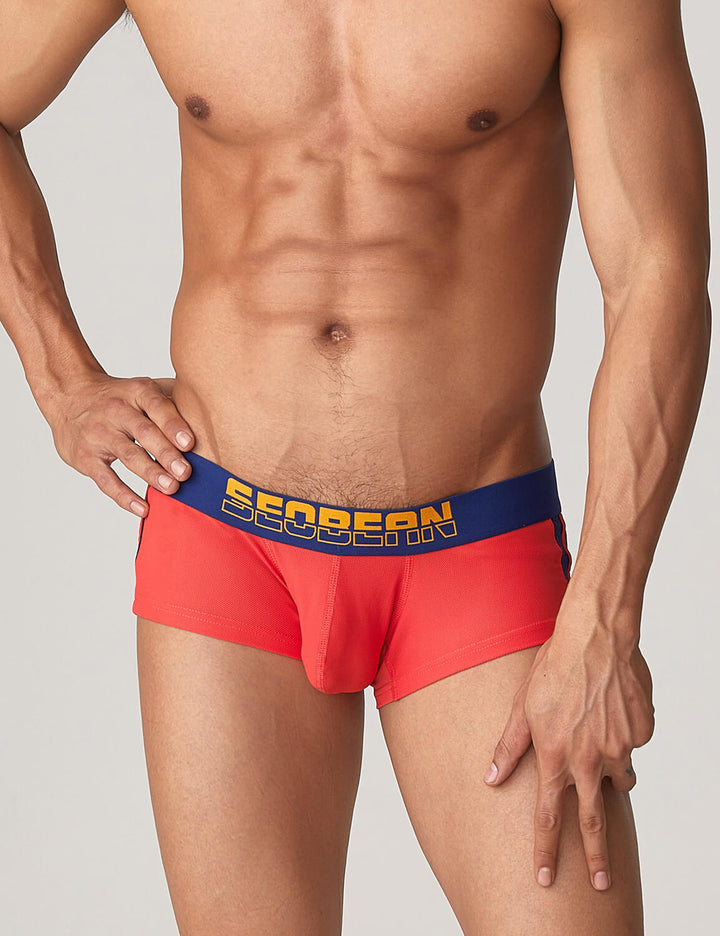 Side Line Nylon Mesh Boxer Brief 220212