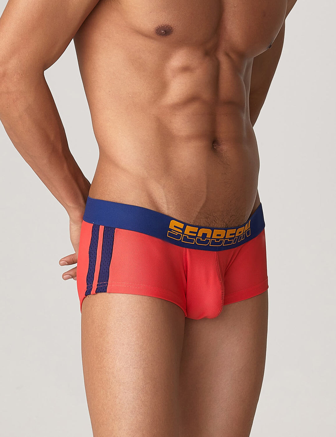 Side Line Nylon Mesh Boxer Brief 220212