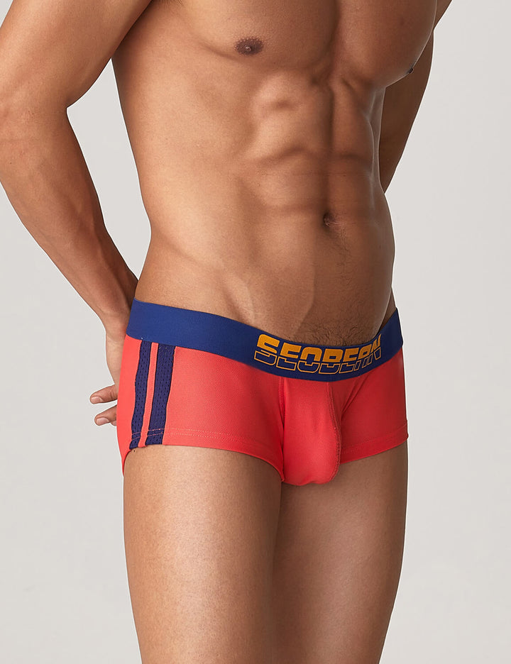 Side Line Nylon Mesh Boxer Brief 220212