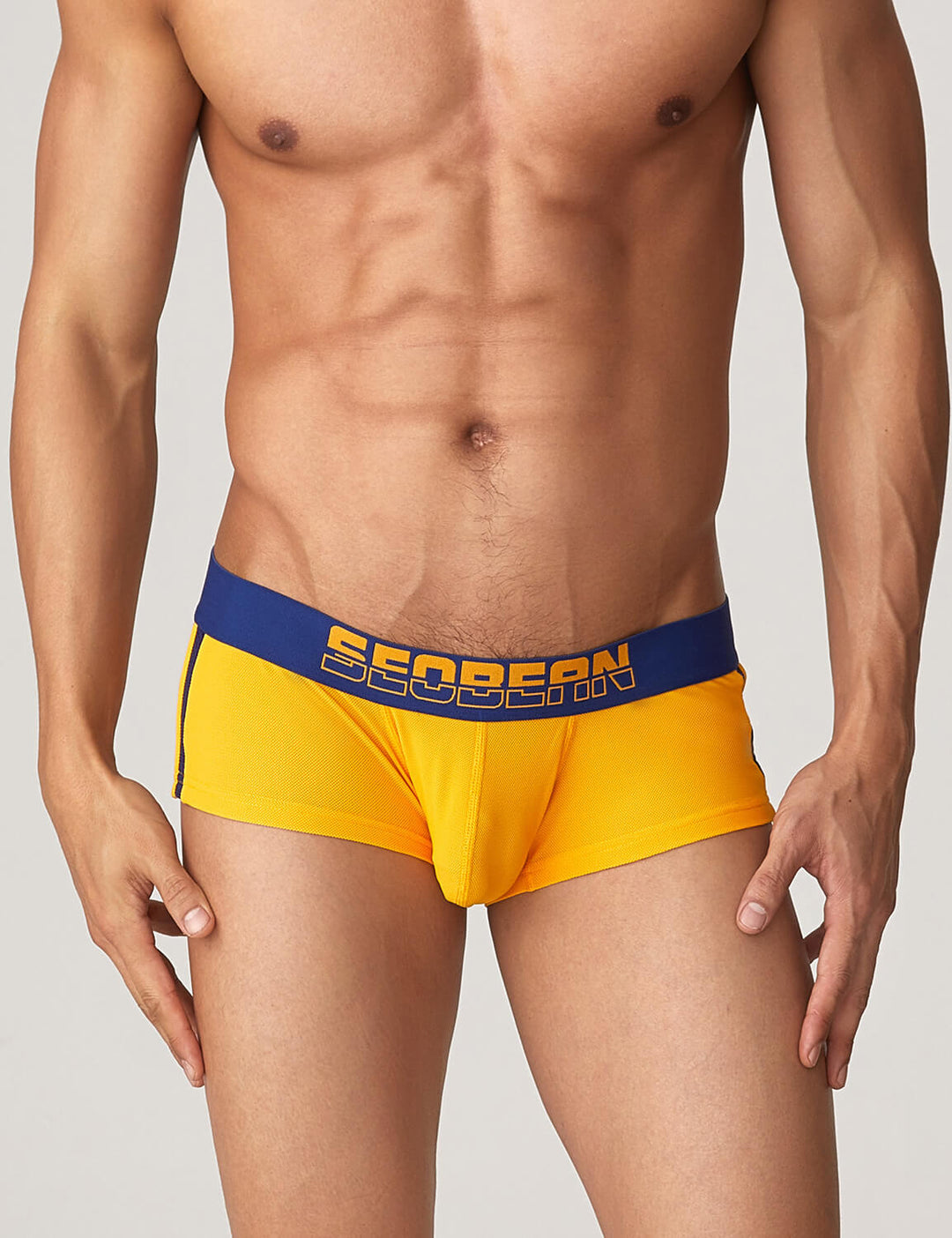 Side Line Nylon Mesh Boxer Brief 220212